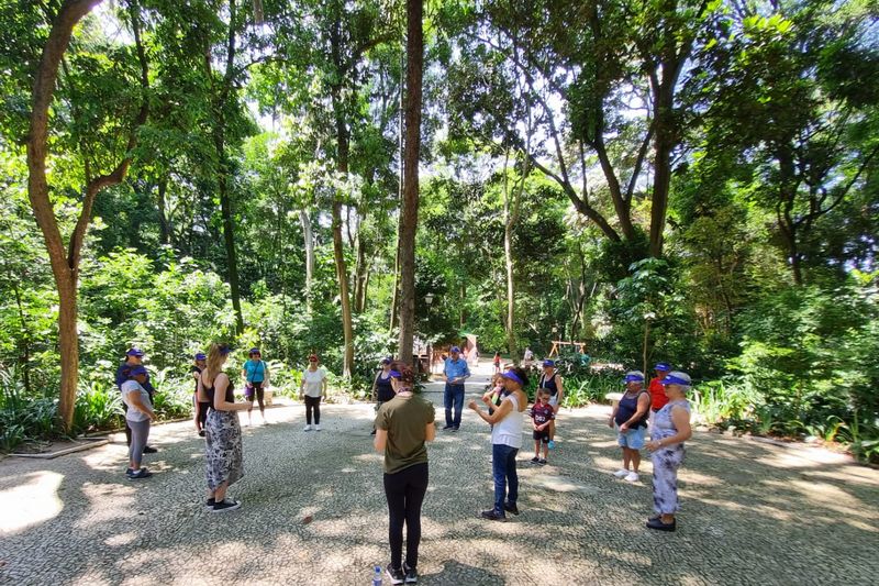 Grupo de pessoas idosas em roda, em atividade ao ar livre num parque arborizado